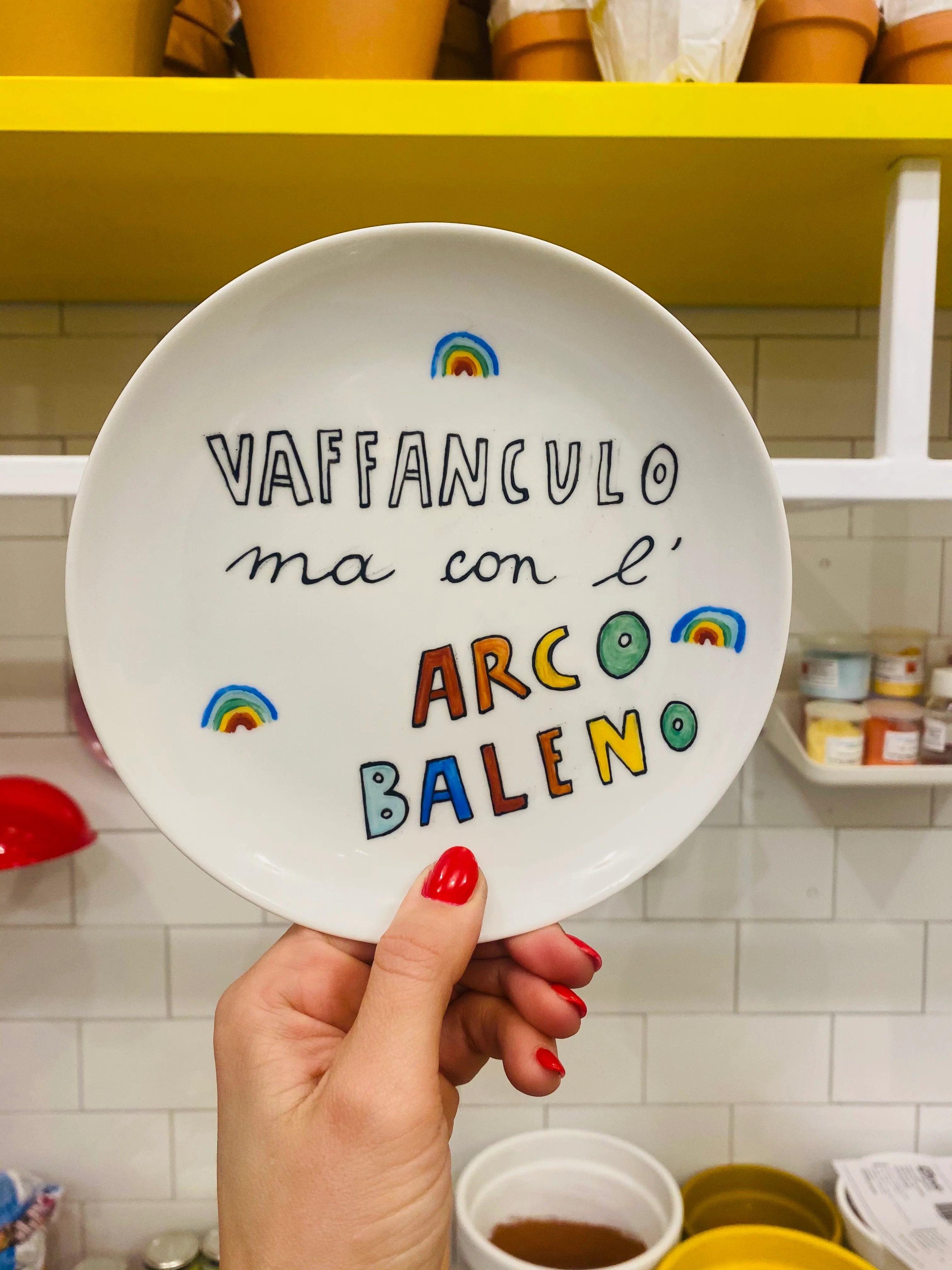 Vaffanculo ma con l'arcobaleno_IL PIATTINO_